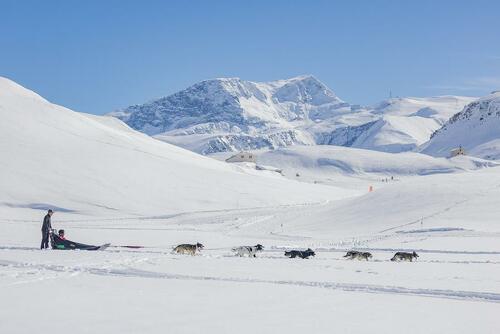 Baptême en chiens de traîneau à Val-Cenis