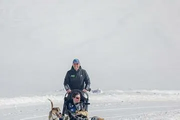 © Chiens de traîneau - Nils Louna