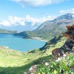 © Vue depuis le fort de la Turra sur le lac du Mont-Cenis - OTHMV - R. Salles
