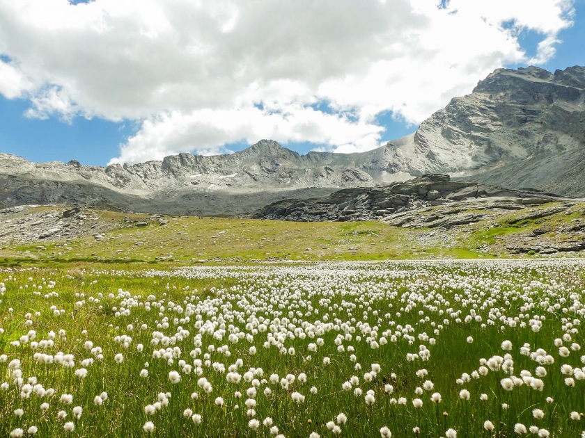 © Tour de la roche d'Etache en 3 jours - Etape 2 - Du refuge d'Ambin au refuge du Suffet_Val-Cenis - OTHMV - S. Romane