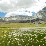 © Tour de la roche d'Etache en 3 jours - Etape 2 - Du refuge d'Ambin au refuge du Suffet_Val-Cenis - OTHMV - S. Romane