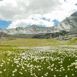© Tour de la roche d'Etache en 3 jours - Etape 2 - Du refuge d'Ambin au refuge du Suffet_Val-Cenis - OTHMV - S. Romane