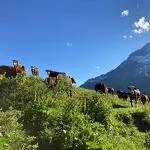 Val CenisAuberge de Bellecombe in -Termignon - C.Jacquemmoz