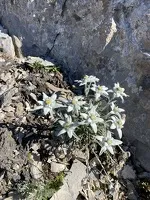 Val CenisAuberge de Bellecombe in -Termignon - C.Jacquemmoz