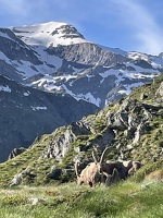 © Refuge l'Auberge de Bellecombe à Val Cenis-Termignon - C.Jacquemmoz