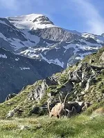 Val CenisAuberge de Bellecombe in -Termignon - C.Jacquemmoz