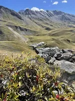 Val CenisAuberge de Bellecombe in -Termignon - C.Jacquemmoz