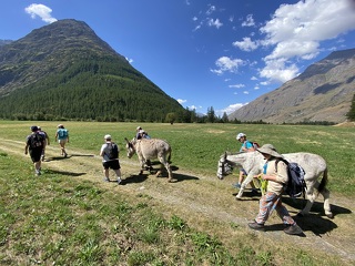 © Diablot’âne à Bessans - K.Routin