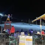 La Marmotte Givrée snack bar in Val Cenis- T.Filliol