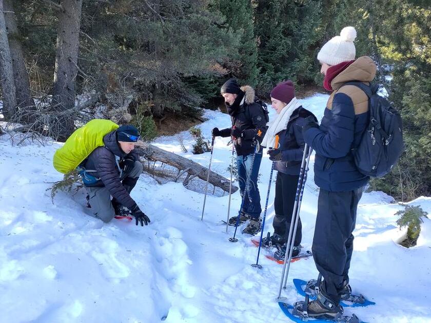 © Sortie raquettes à Val Cenis - J.Y. Ployer