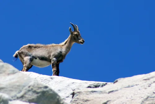 Vanoise National Park