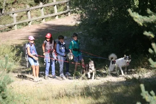 Les P'tits Mushers