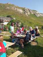 © Plantes alpines d'hier et d'aujourd'hui à Val Cenis-Lanslevillard - Marion Lett