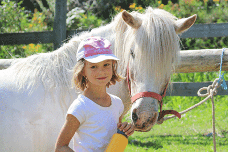 © Poney_Shetland.gif - Neige et Soleil