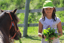 © Poney_shetland_1.gif - Neige et Soleil