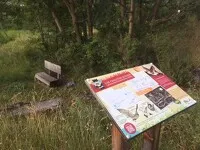 val-cenis-bramans-summer-mountain-garden_corinne-borot - CBorot