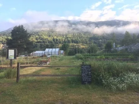 The Mountain garden