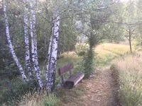 val-cenis-bramans-summer-mountain-garden_corinne-borot - CBorot