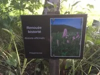 val-cenis-bramans-summer-mountain-garden_corinne-borot - CBorot