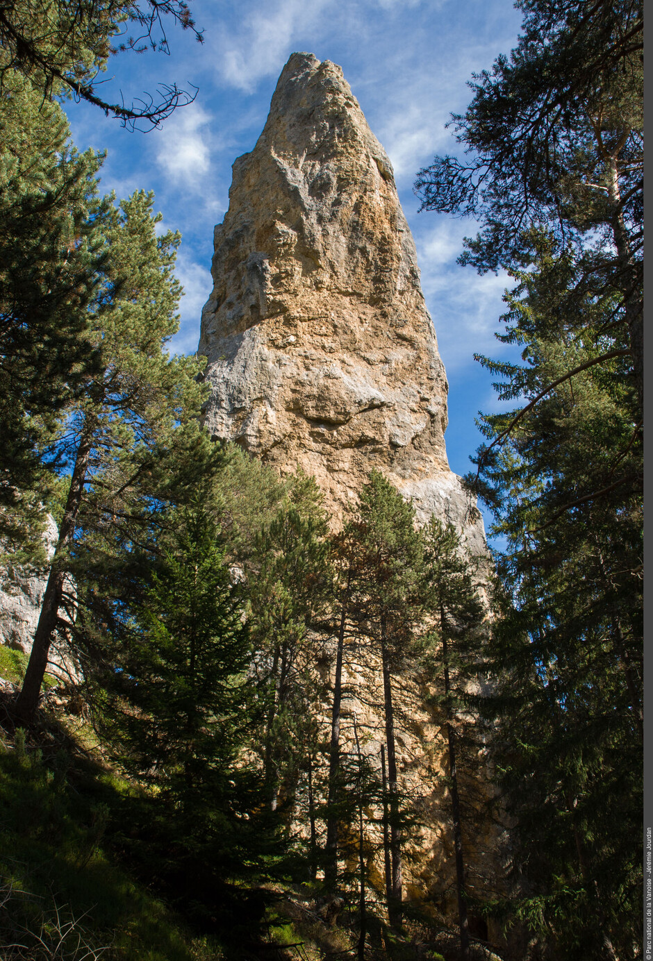 © Les secrets de la forêt du Monolithe_Val-Cenis - PNV