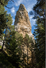 © Les secrets de la forêt du Monolithe_Val-Cenis - PNV