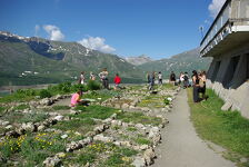 © Jardin alpin du Mont-Cenis - OTHMV