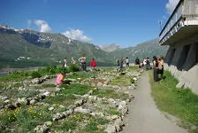 Alpentuin Mont-Cenis - OTHMV