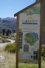 Alpentuin Mont-Cenis - OTHMV