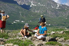 © Jardin alpin du Mont-Cenis - OTHMV