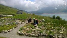 © Jardin alpin du Mont-Cenis - OTHMV