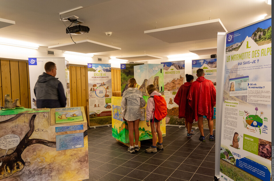 © Visite commentée de l'exposition "La tribu des marmottes"_Val-Cenis - MELE Stéphane - PNV