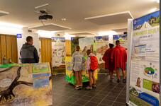 © Visite commentée de l'exposition "La tribu des marmottes"_Val-Cenis - MELE Stéphane - PNV