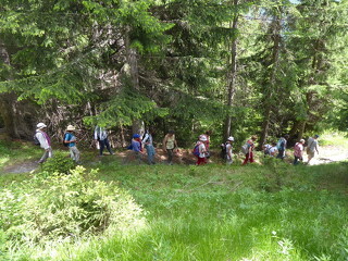 © Stage plantes sauvages de montagne à Val Cenis - EPM