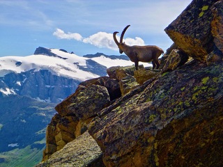 © Christian Vair, accompagnateur en montagne - Christian Vair