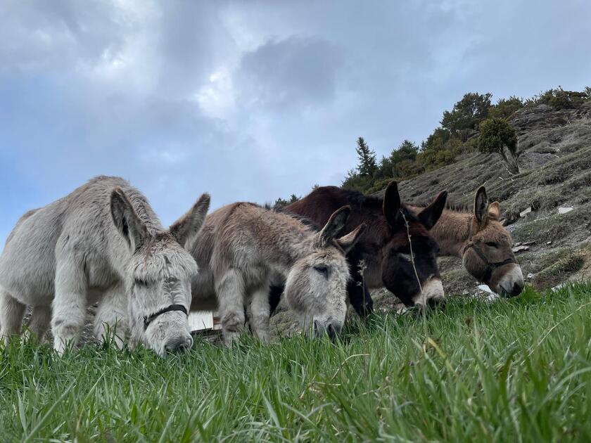 © Anes Vanoise à Val Cenis - Yvan