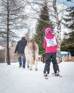 © Anes Vanoise à Val Cenis-Lanslebourg - J.Cathala - OTHMV