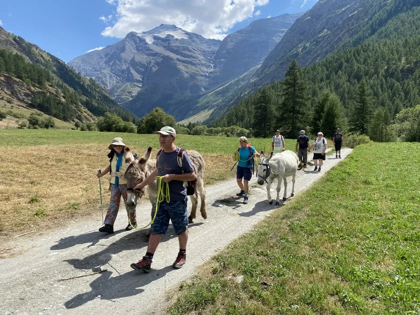 © Randonnée avec ânes bâtés à la Maison des guides de Val Cenis - maisondesguides@orange.fr