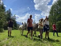 © Randonnée avec ânes bâtés à la Maison des guides de Val Cenis - mmaisondesguides@orange.fr