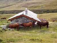 © val-cenis-termignon-refuge-entre-deux-eaux - Marie-Thérèse BURDIN