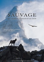 © PROJECTION : SAUVAGE le chamois, l'aigle et le loup - Film des Lapied_Val-Cenis - Lapied