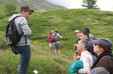 © Le Jardin Alpin du Mont Cenis à Val Cenis - Jean-François Durand