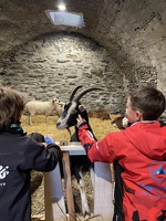 © val-cenis-lanslebourg-restaurant-altitude-ferme-du-23 - s.filliol