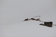 © Raquettes à neige : Nuitée en refuge gardé dans le Parc national de la Vanoise_Val-Cenis - Thierry Bardagi