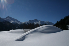 © Sortie raquettes - Évasion hivernale entre rivière et forêt_Val-Cenis - Thierry Bardagi