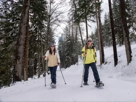 Itinéraire piéton raquettes : Sentier de découverte