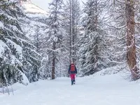 © Itinéraire piéton raquettes  : Baraque des Douaniers_Val-Cenis - OTHMV - B Filliol
