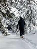 © Itinéraire piéton raquettes  : La balade d'Hannibal_Val-Cenis - OTHMV - R Salles