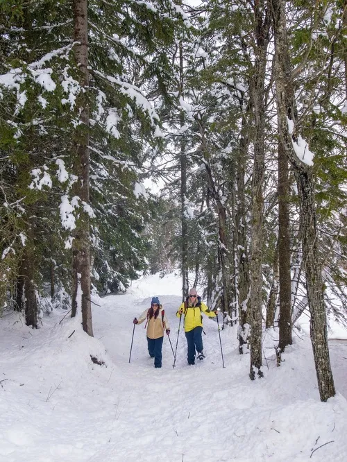 Snowshoe itinerary: Cabane du Suffet