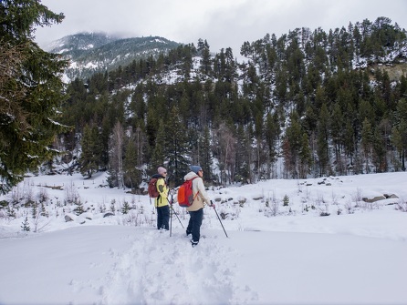 Itinéraire piéton raquettes : Variante sentier Val Cenis le Haut