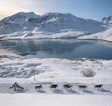 © La Grande Odyssée Royal Canin à Val Cenis - OTHMV - J.Cathala